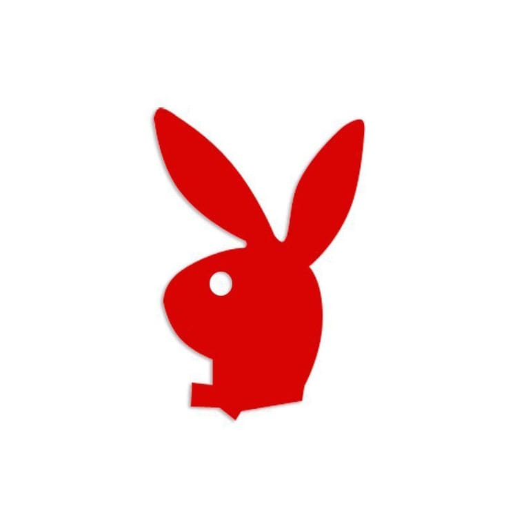 Playboy Bunny w/Tie Tanning Stickers Facing Left, Spray Tanning, Tanning Bed, Playboy, Laying Outdoors